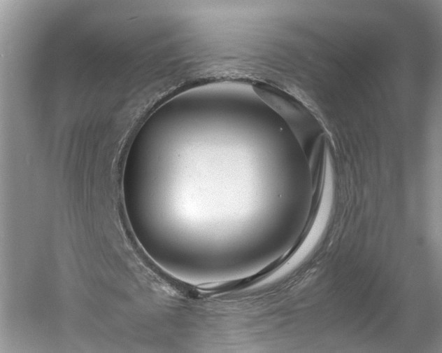 X0000060780673200511141418