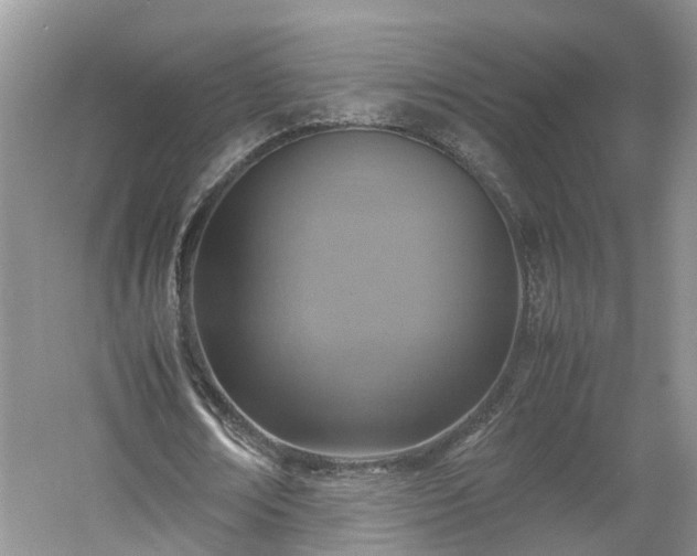 X0000060780674200511141418