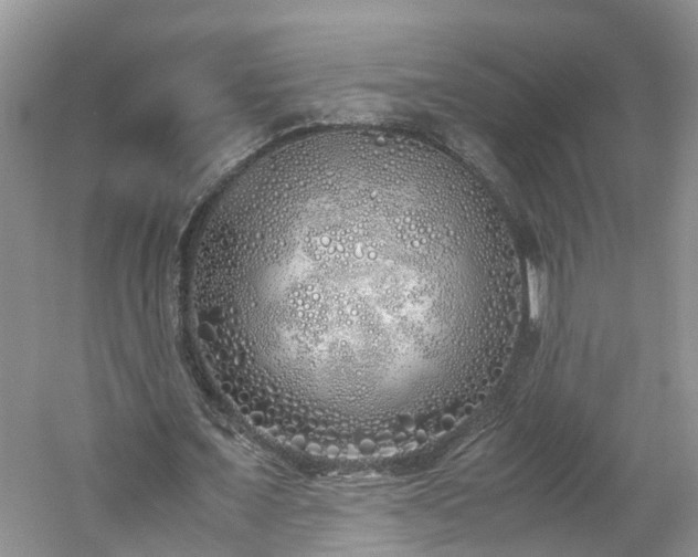 X0000060780675200511141418