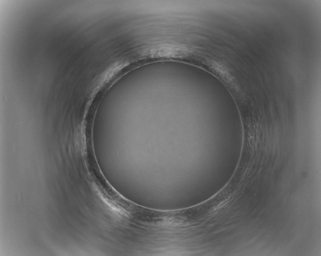 X0000060780678200511141418