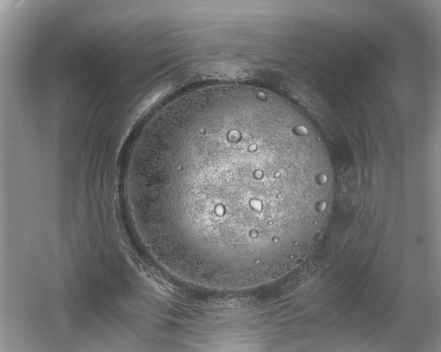 X0000060780679200511141418