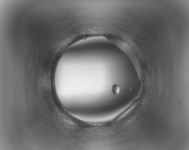 X0000060780681200511141418