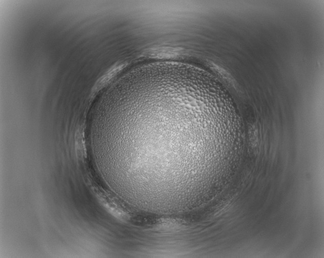 X0000060780682200511141418