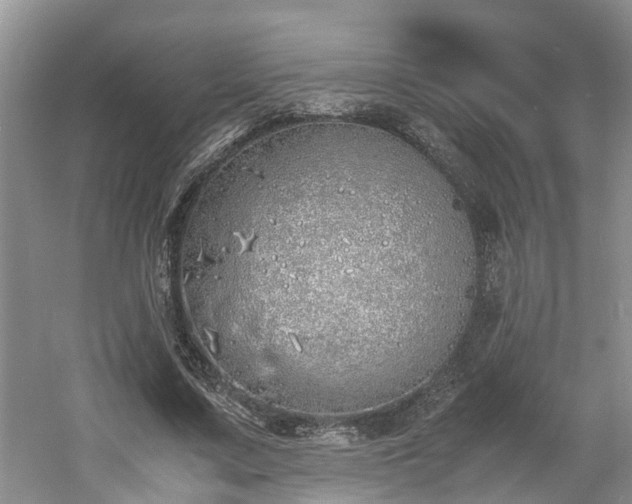 X0000060780683200511141418