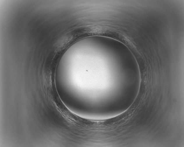 X0000060780685200511141418