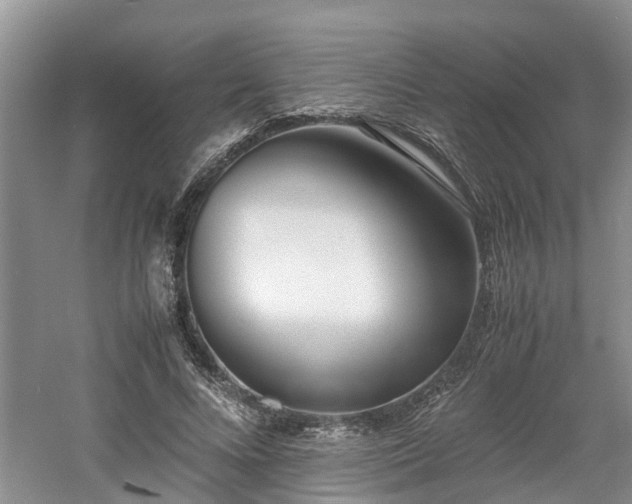 X0000060780688200511141417