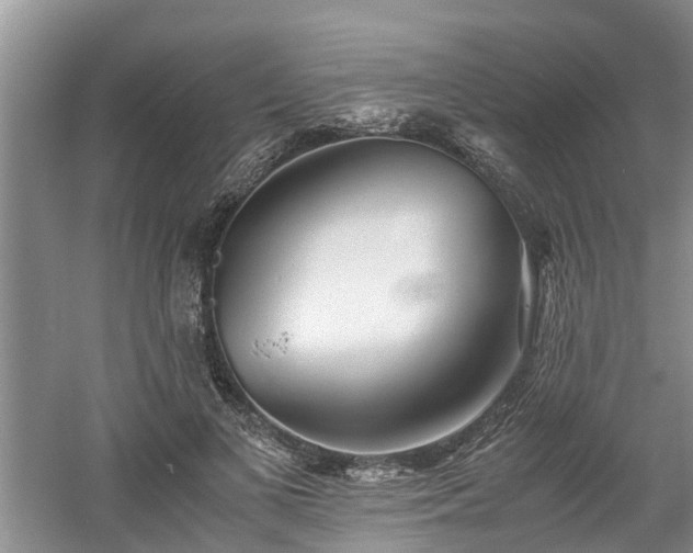 X0000060780693200511141417