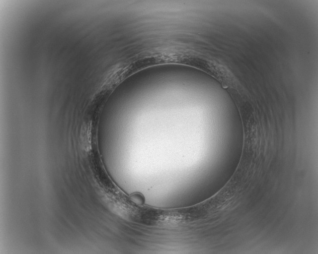 X0000060780694200511141417