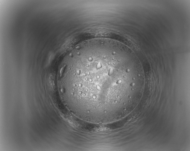 X0000060780695200511141417