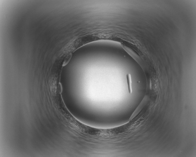 X0000060780697200511141417