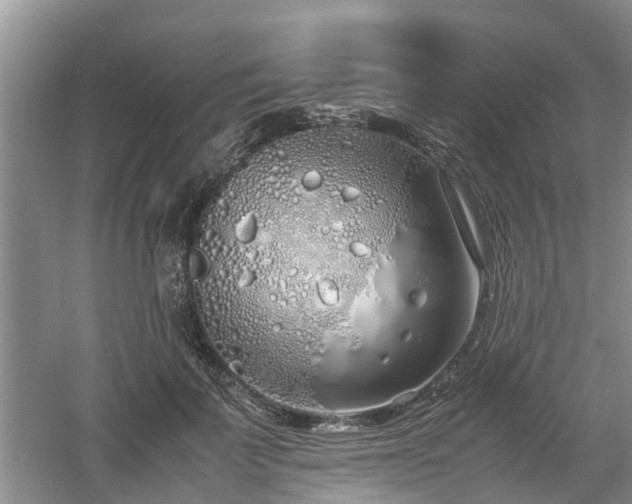 X0000060780699200511141417