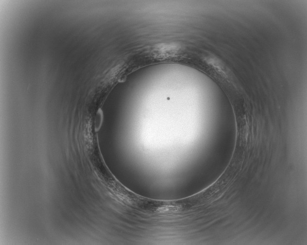 X0000060780700200511141417