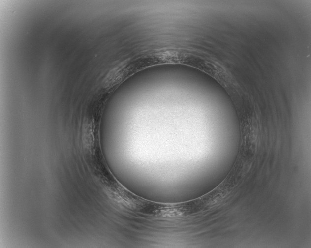 X0000060780702200511141417