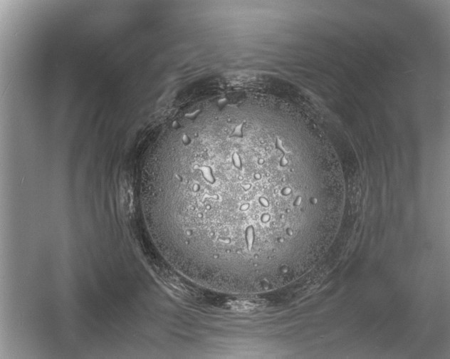 X0000060780703200511141417