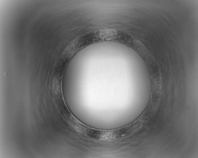 X0000060780705200511141417