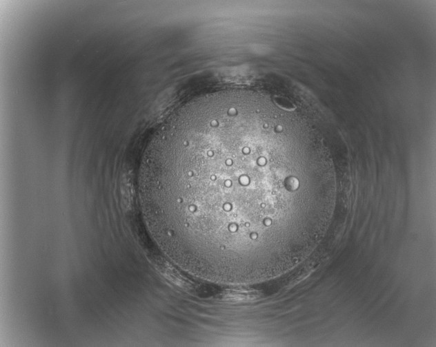 X0000060780707200511141417