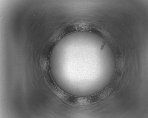 X0000060780709200511141417