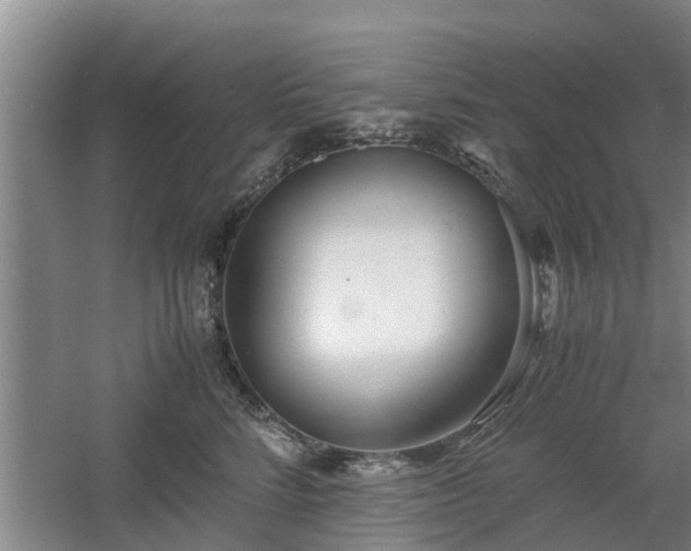 X0000060780712200511141417