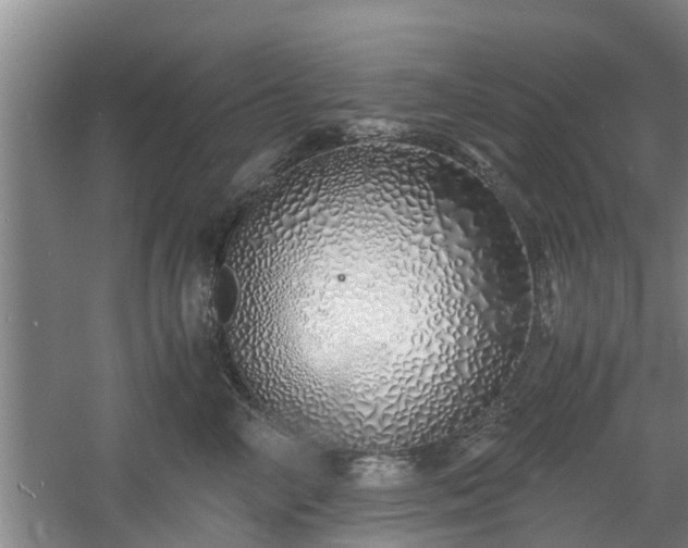 X0000060780714200511141417