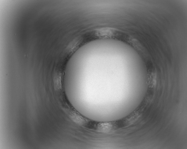 X0000060780717200511141417