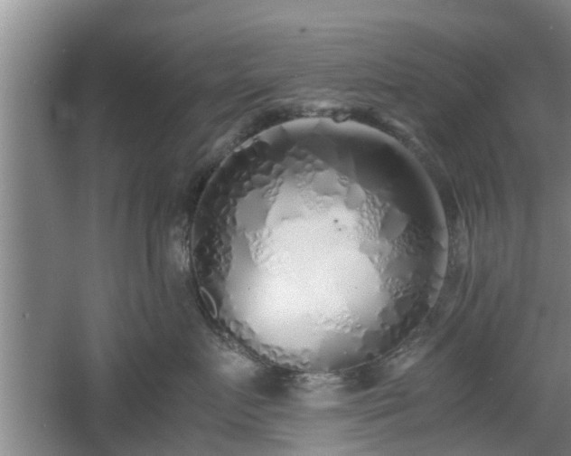 X0000060780719200511141417