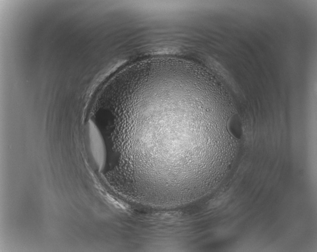 X0000060780721200511141416