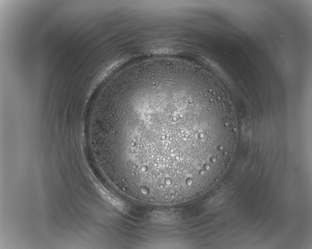 X0000060780725200511141416