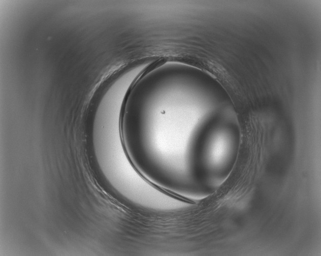 X0000060780731200511141416