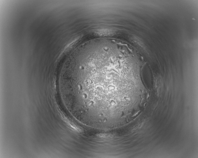 X0000060780733200511141416