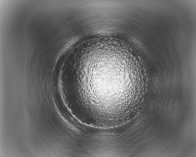 X0000060780734200511141416