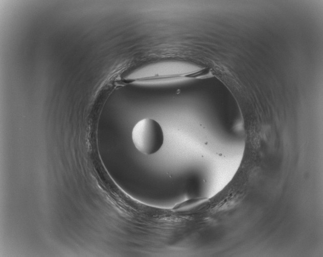 X0000060780735200511141416