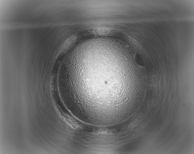 X0000060780738200511141416