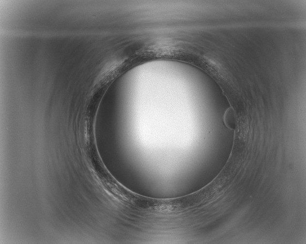 X0000060780740200511141416