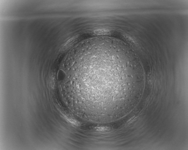 X0000060780741200511141416