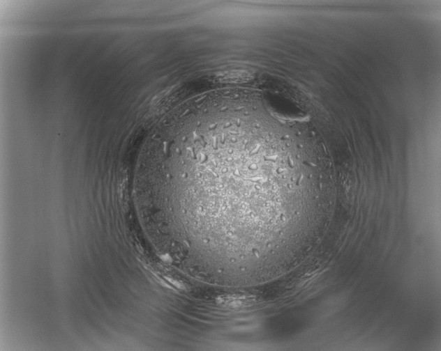 X0000060780745200511141416