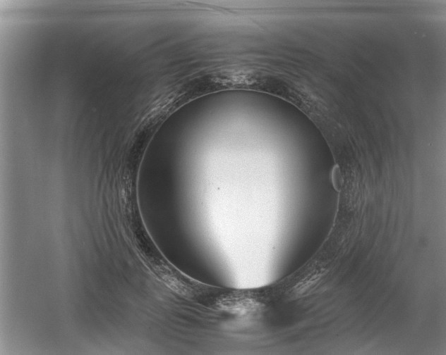 X0000060780747200511141417