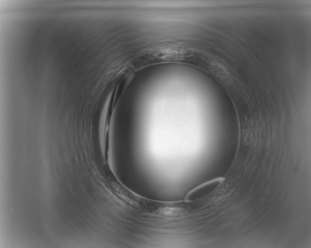 X0000060780748200511141417