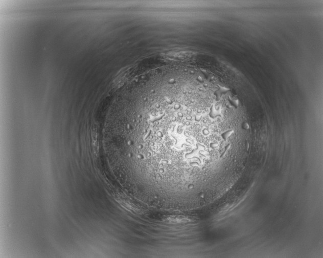 X0000060780749200511141417