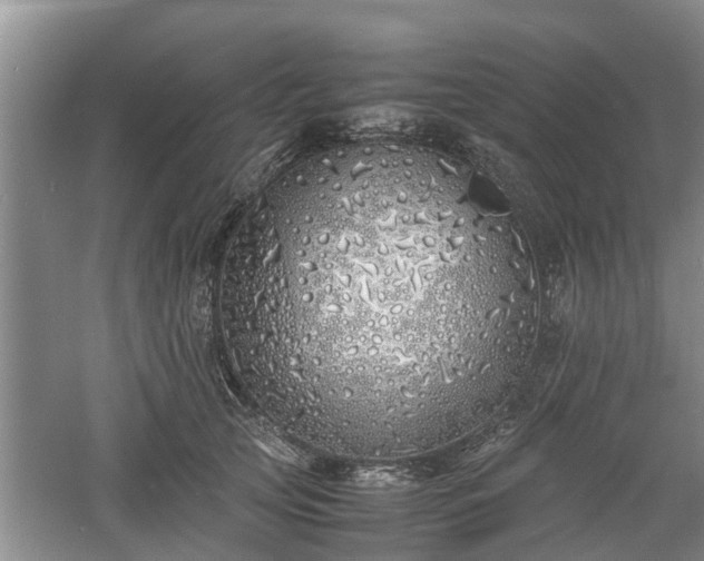 X0000060780753200511141417