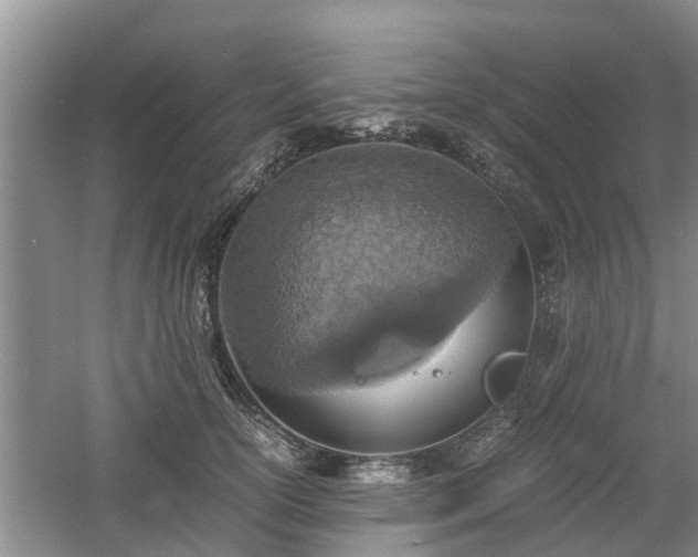 X0000060780754200511141417