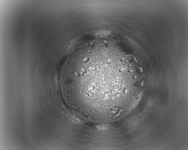 X0000060780761200511141417