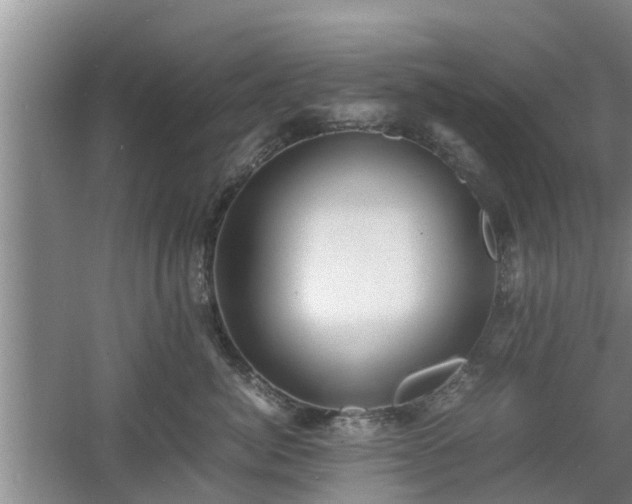 X0000060780764200511141417