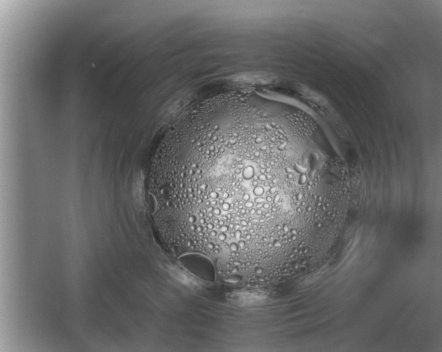 X0000060780765200511141417