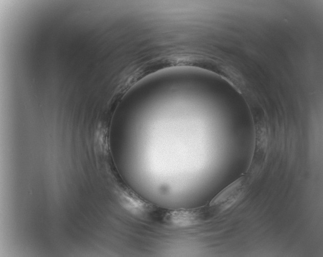 X0000060780766200511141417