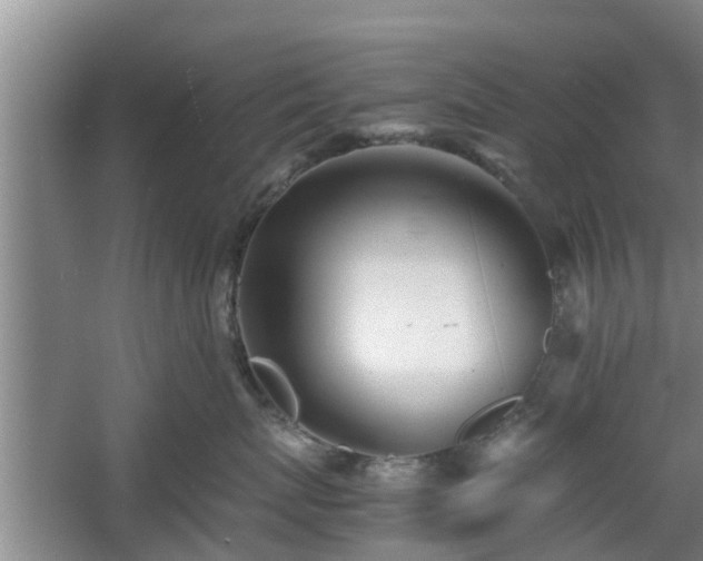 X0000060780767200511141417