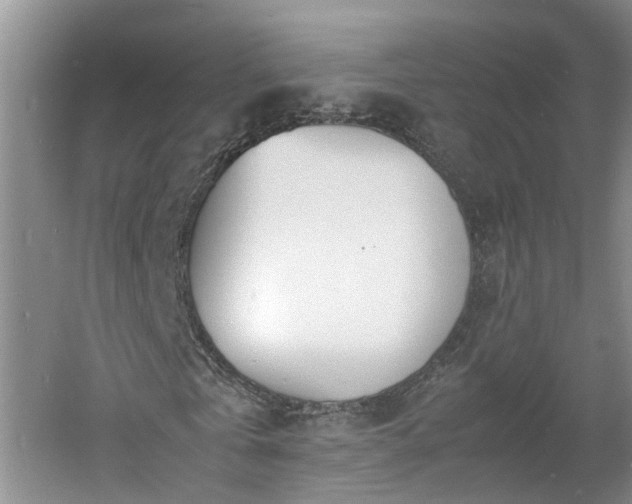 X0000060780769200511141416