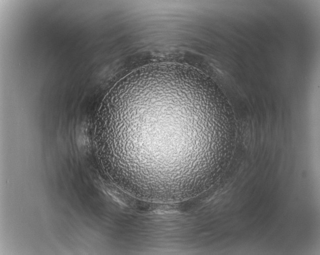 X0000060780770200511141416