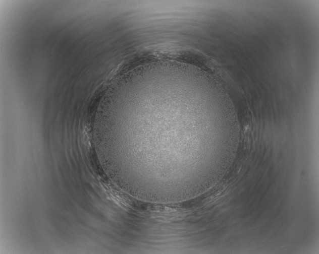 X0000060780772200511141416