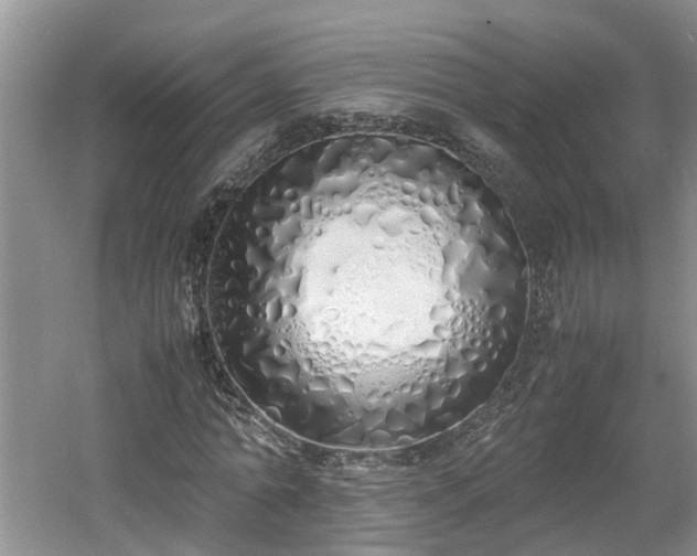 X0000060780774200511141416