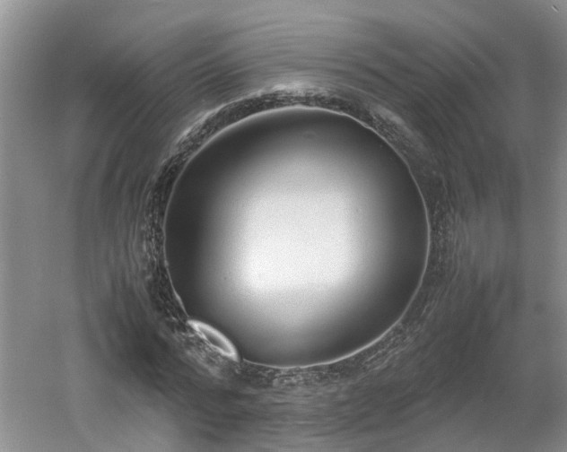 X0000060780776200511141416